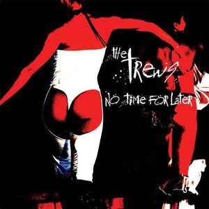 The Trews - NO TIME FOR LATER  CD